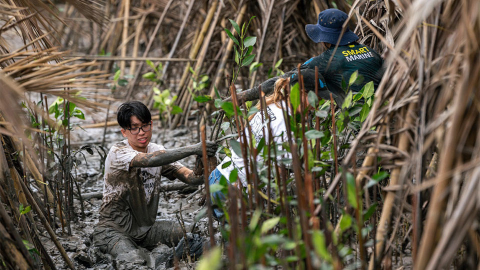 Mangrove planting activity on Kindness Day, where USLS delegates contribute to the advancement of the People and the Planet through volunteerism that advances the United Nations Sustainable Development Goals (SDGs)