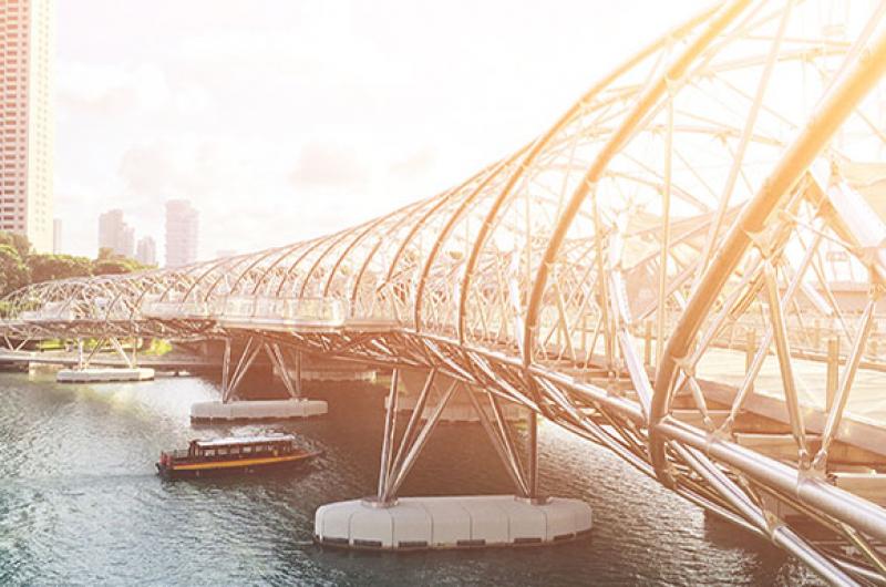 A MEMORABLE HOLIDAY IN THEIR OWN BACKYARD