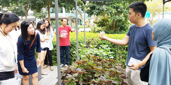 SMU Grow