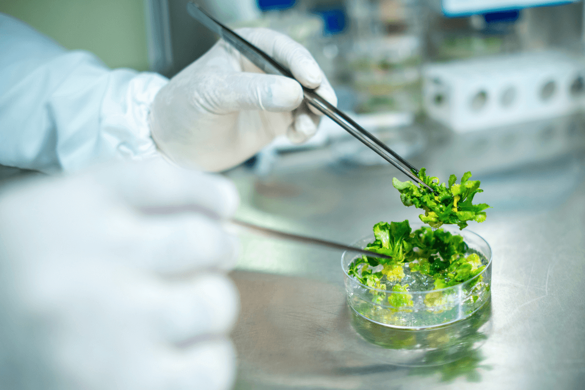 Collaborating for Success: SMU and TLA Partnership Offers Entrepreneurship Students Real-World Experience