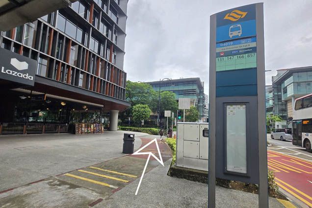 Alight at the bus stop