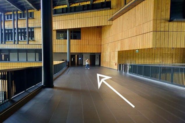 Cross the link bridge