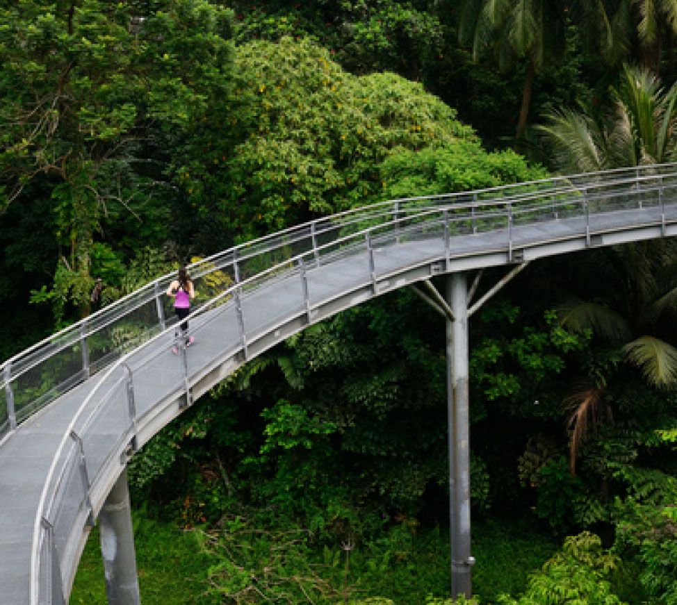 Are Green Loans Really Good for the Planet?