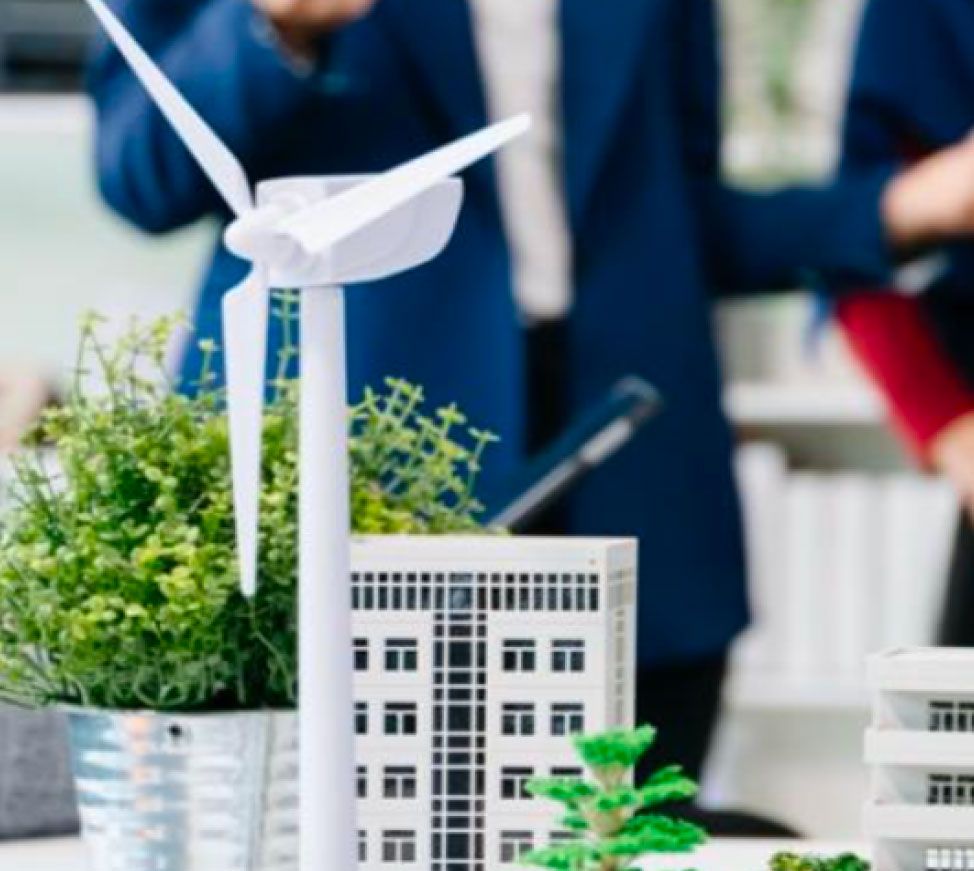 The Green Skills Gap: What’s Missing and How to Fix It