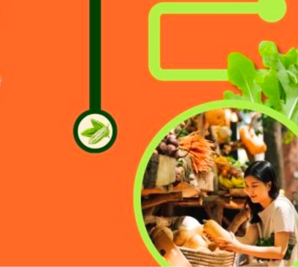 Understanding Alternative Food Networks
