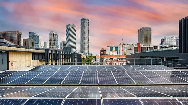 Sustainability at SMU